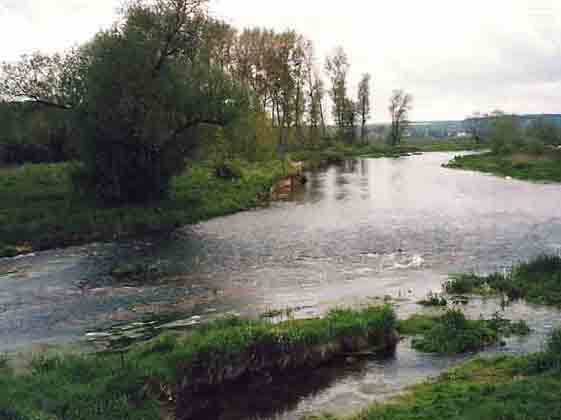 De Maas bij Ourches-sur-Meuse in Frankrijk