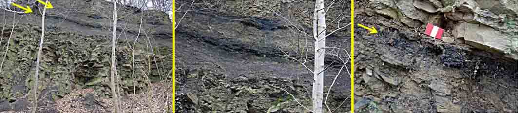 Steenkool in dal van de Worm (Wurm)