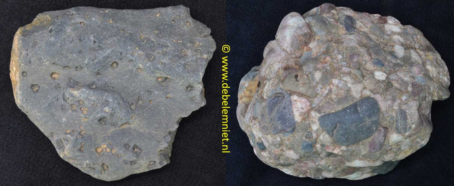 R&eacute;vinienkwartsiet en Conglomeraat van Burnot als zwerfstenen van de Maas