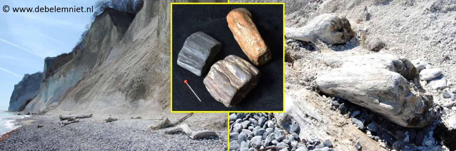 het fossiliseren van hout - versteend hout