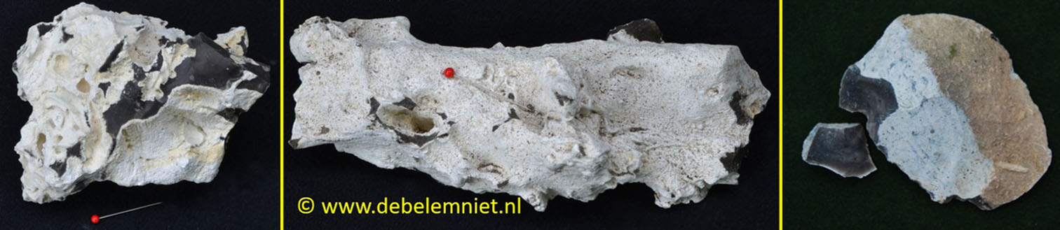 soorten vuursteen Krijtperiode