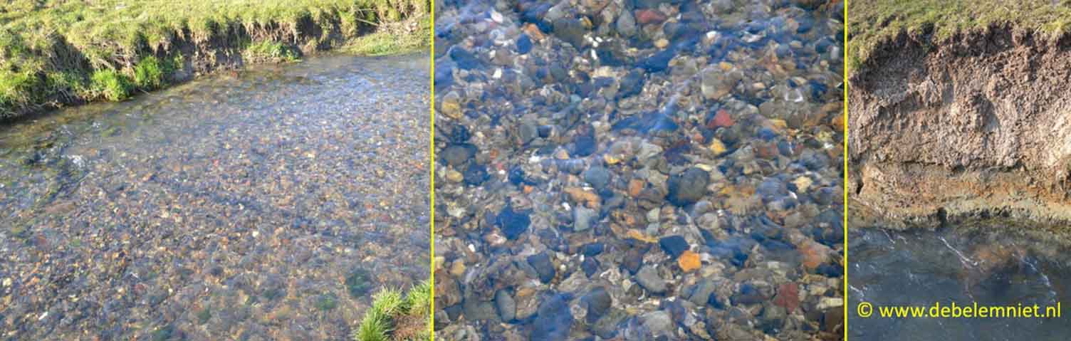 grind en klei als sediment van de Gulp