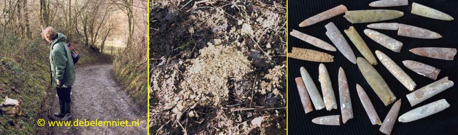 Belemnieten Grote Bosweg