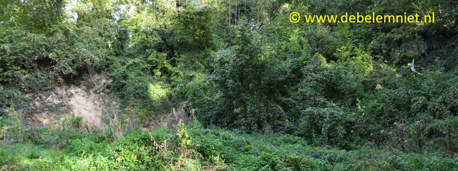 kalksteen Formatie Gulpen