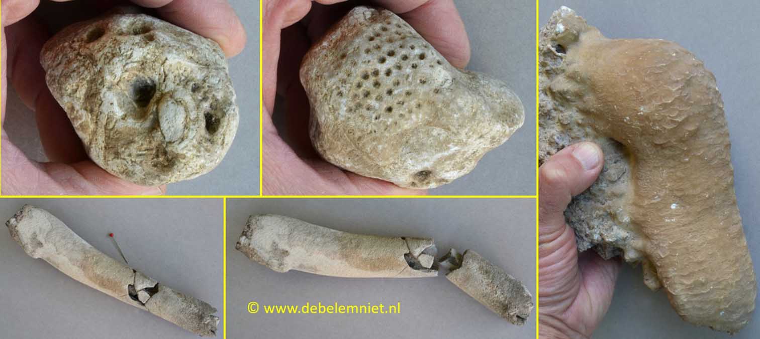 pseudofossielen graafgangvuursteen