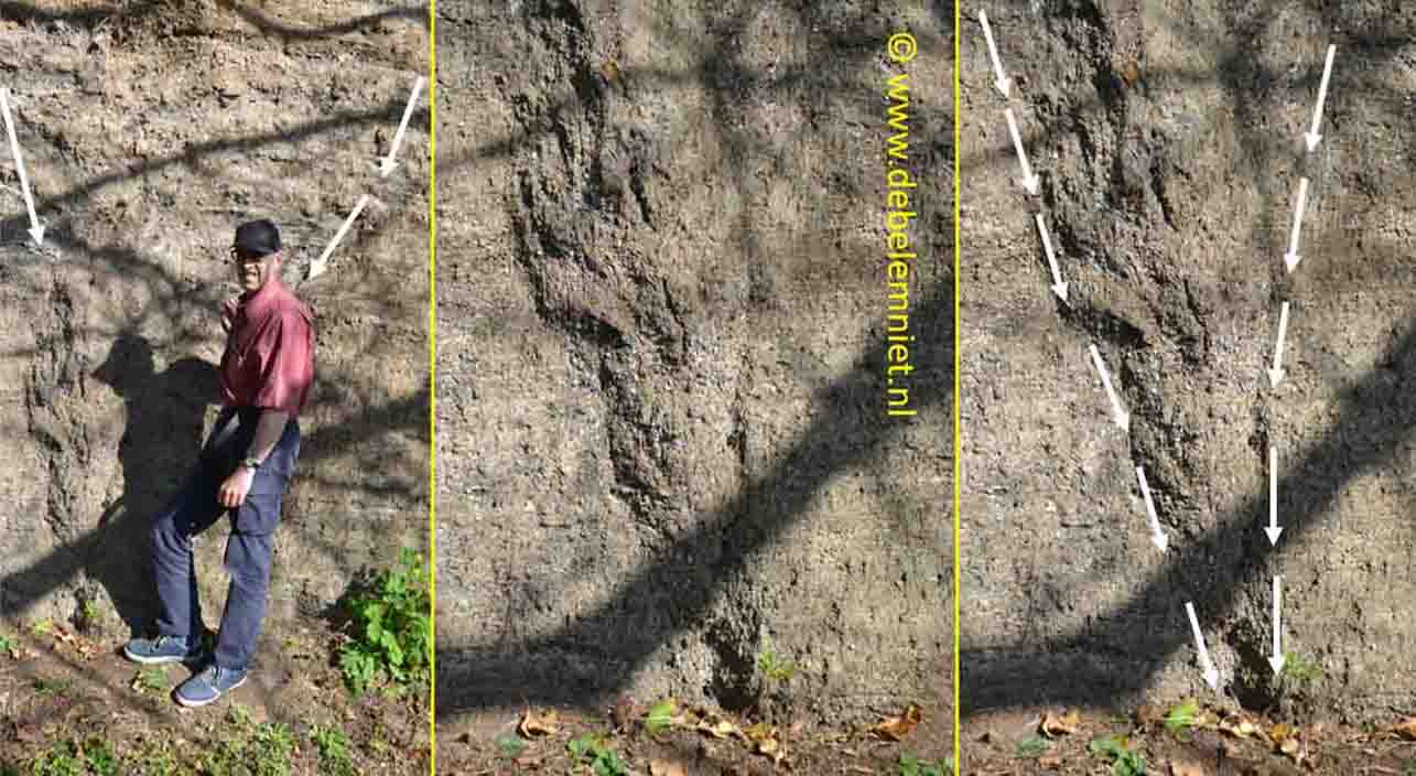 vorstwig ijstijd glaciaal Sandkaul Weibern Eifel