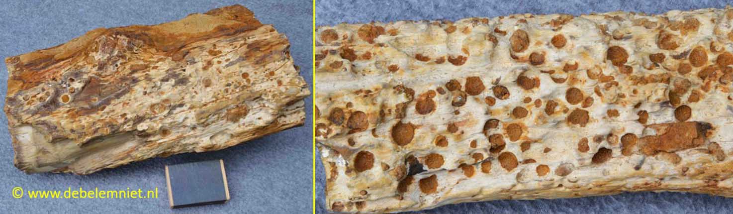 Formatie van Aken Boven Krijt