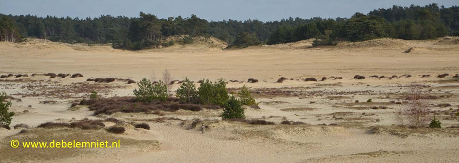 Hulshorster Zand fulgurieten
