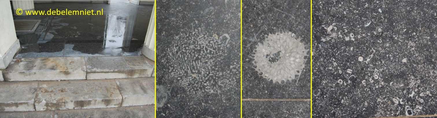 fossielen Carboon kalksteen Elisenbrunnen