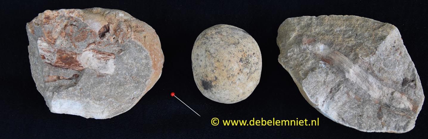 Steinhardter Erbsen concretie