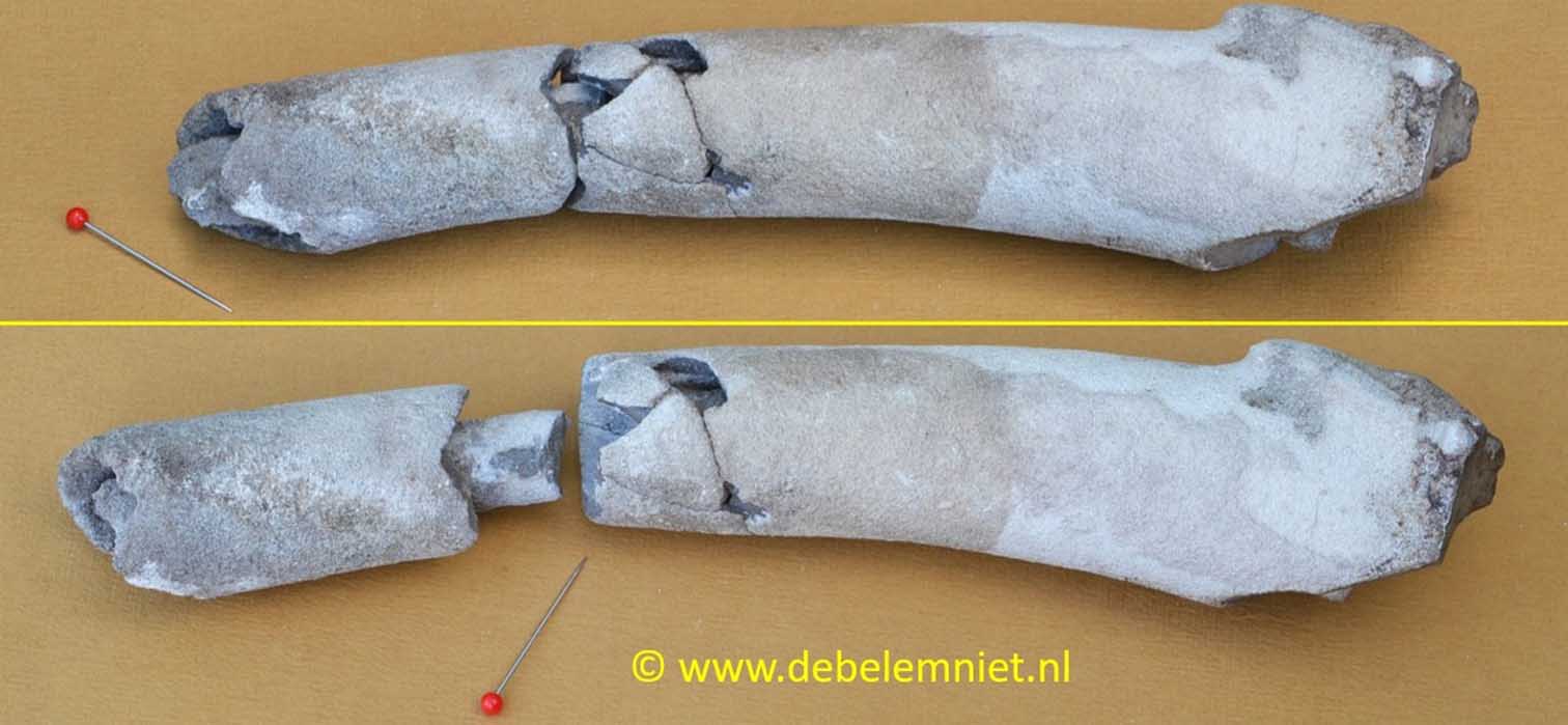 graafgangvuursteen Boven-Krijt Zuid-Limburg